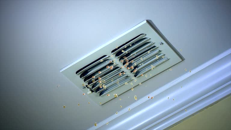 Ventilation Cleaning Services in Minnehaha, WA