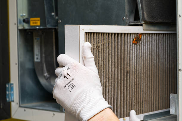 Best Home Air Vent Cleaning  in Minnehaha, WA