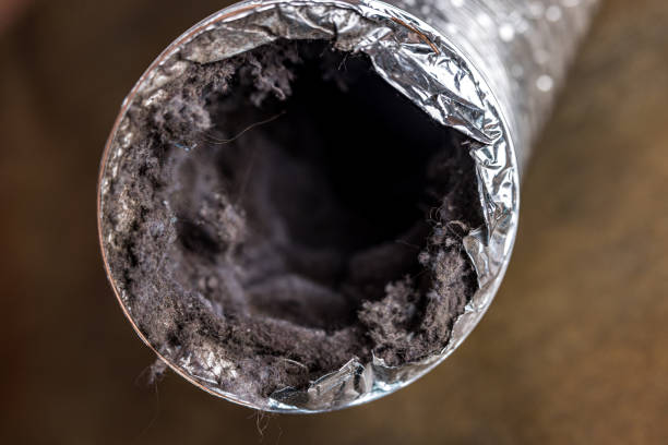 Best HVAC System Cleaning  in Minnehaha, WA